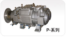 Dry Vacuum Pumps P-Series